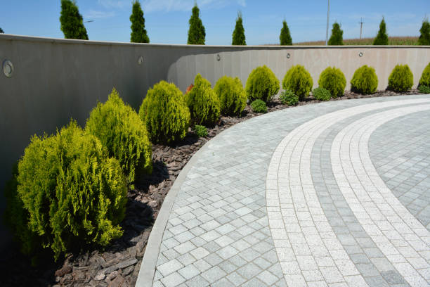 Best Decorative Driveway Pavers  in Hampton, IL